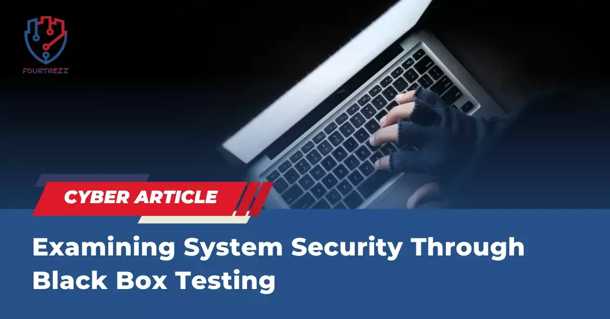 Examining-System-Security-Through-Black-Box-Testing.webp